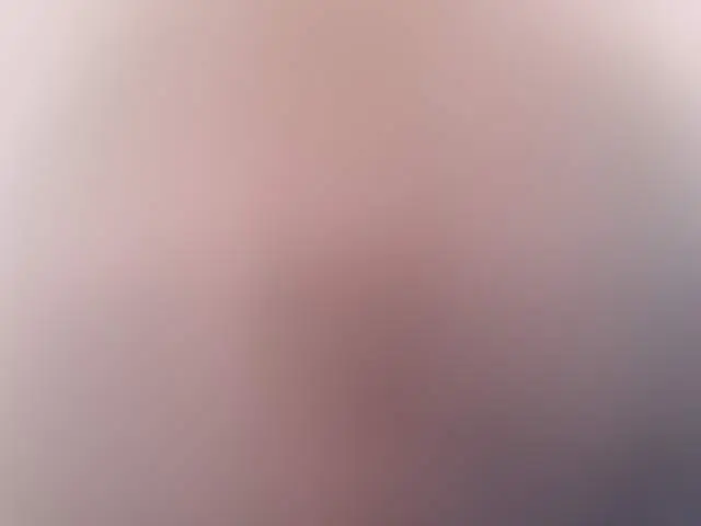 AncelEdarling image 3